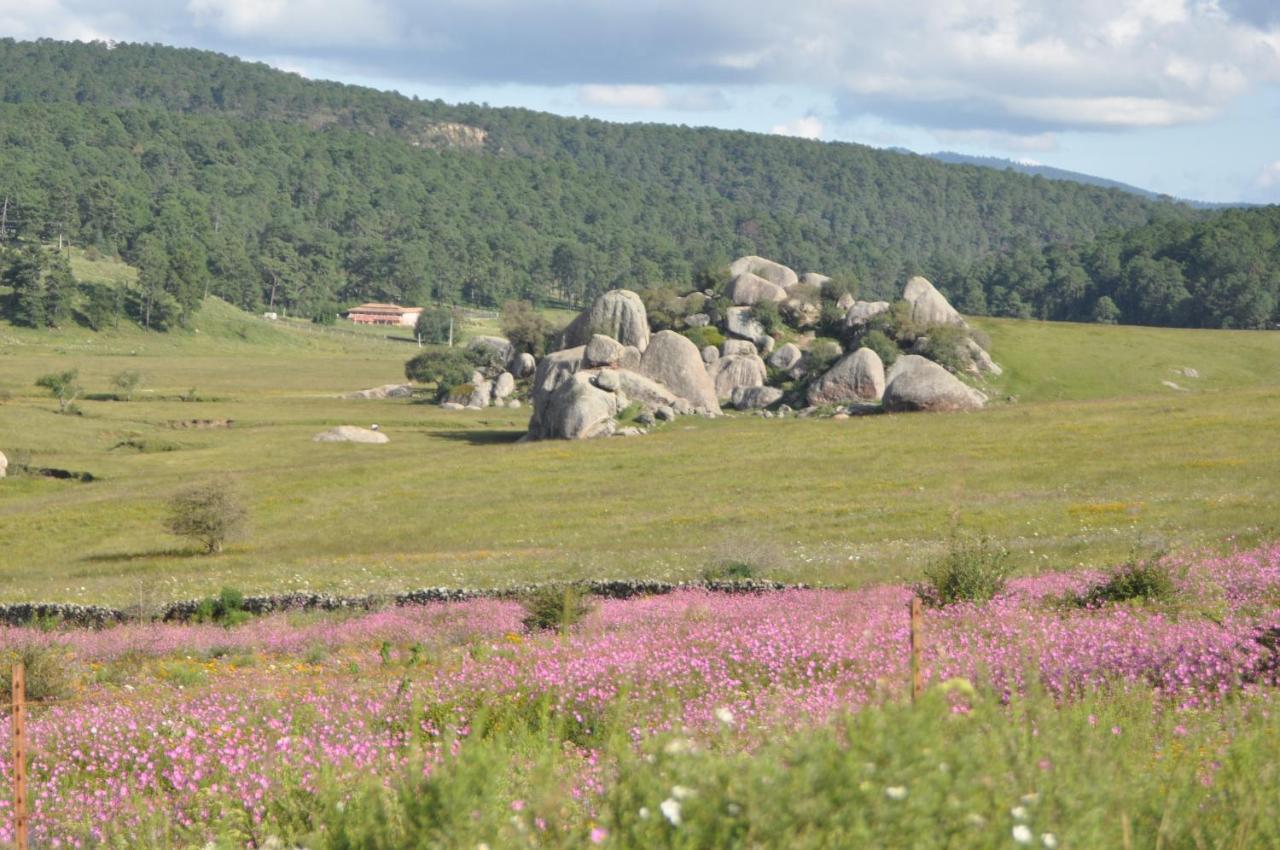 Hotel La Casona Tapalpa Dış mekan fotoğraf